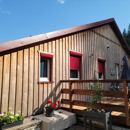 La Ferme Du Badon Appartement Gérardmer Buitenkant foto