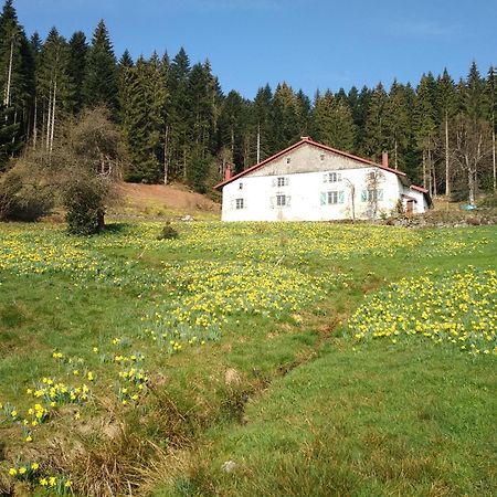 La Ferme Du Badon Appartement Gérardmer Buitenkant foto