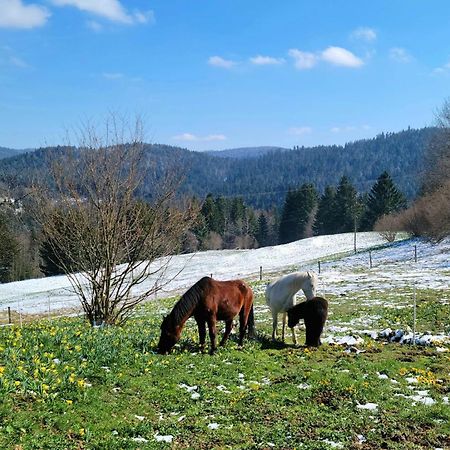 La Ferme Du Badon Appartement Gérardmer Buitenkant foto